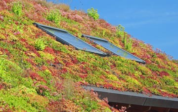 Llanedwen living roof systems
