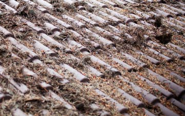 Llanedwen roof cleaning companies